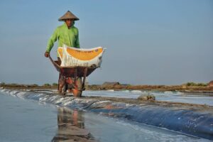 Panen garam di tengah harganya yang mahal, para petani untung besarLokasi - Babalan, Kecamatan W