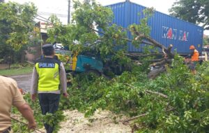 Truk tronton tertimpa pohon