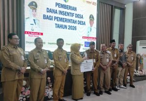 Insentif dana desa